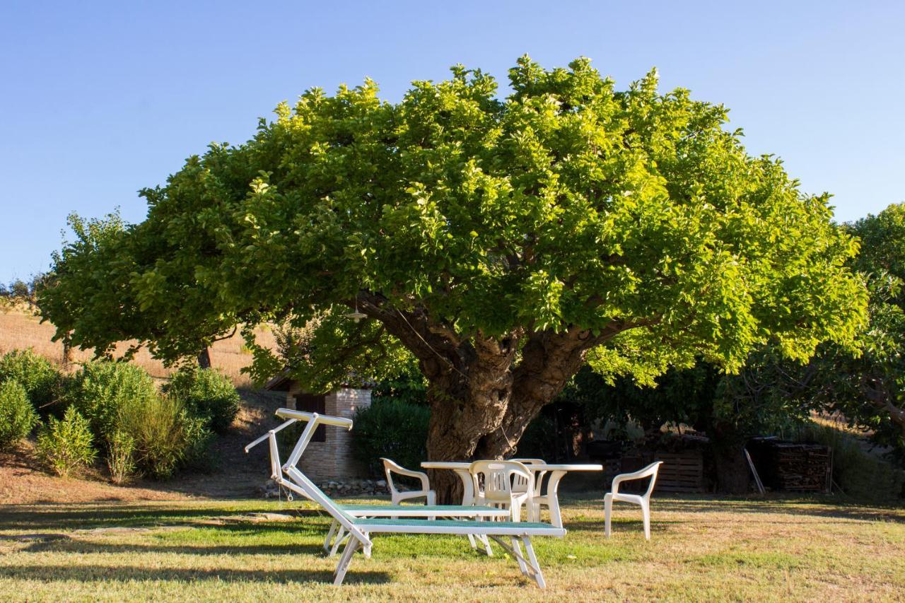 B&B Salvarosa Fano Bagian luar foto