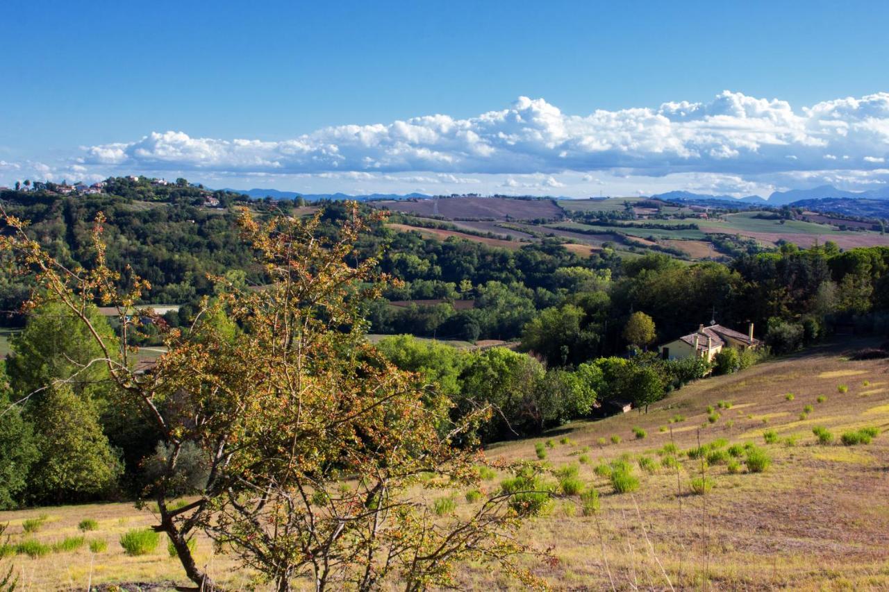 B&B Salvarosa Fano Bagian luar foto