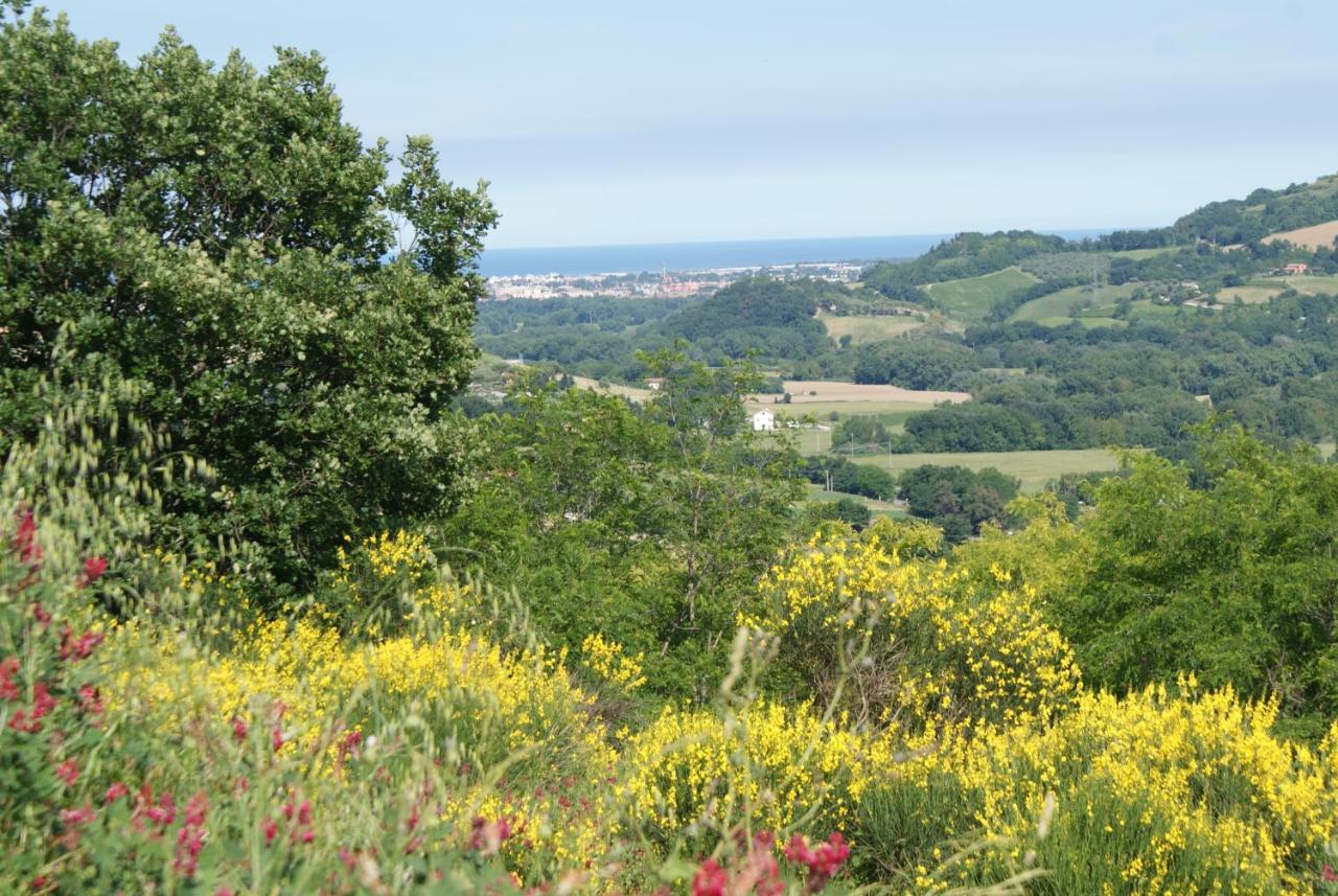 B&B Salvarosa Fano Bagian luar foto